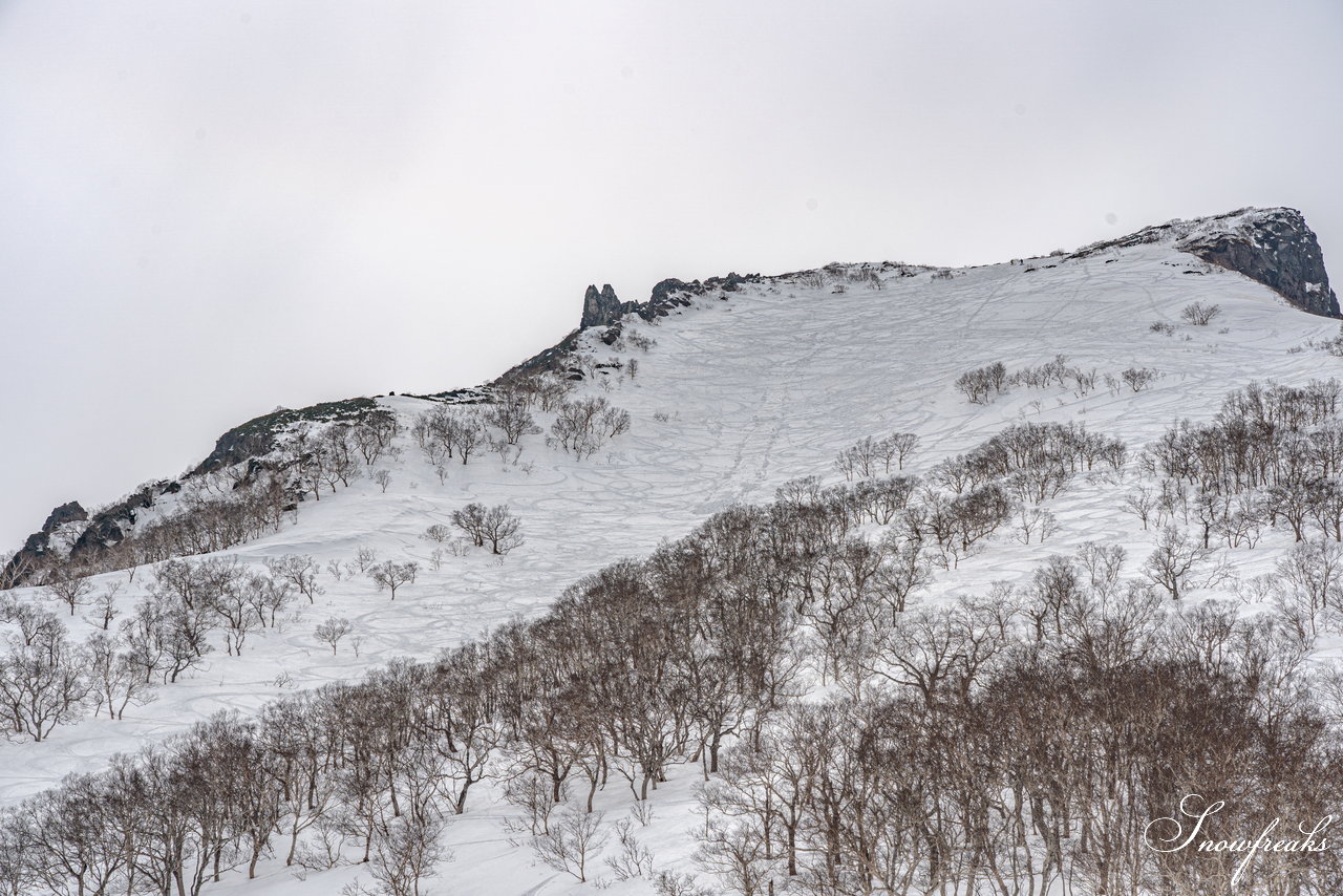 大雪山層雲峡・黒岳ロープウェイスキー場　本日の積雪 310cm。神々の遊ぶ庭でのんびり春スキー＆スノーボードを楽しみましょう♪